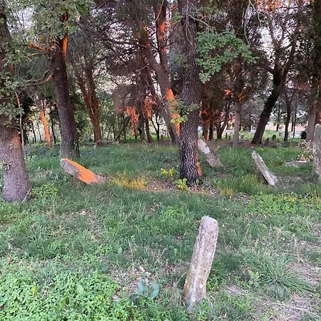 Bujtina Ismet Gjeli 卡瓦亚
